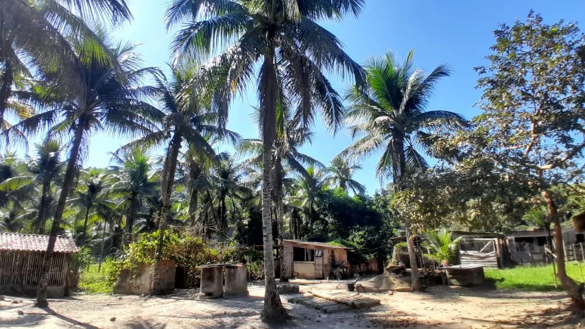Excelente sítio de 05 alqueires em Silva Jardim RJ.