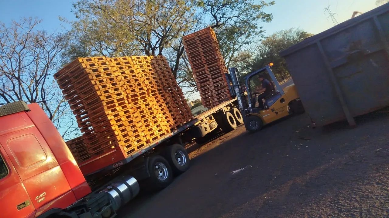 Paletes de Madeira - Foto 6