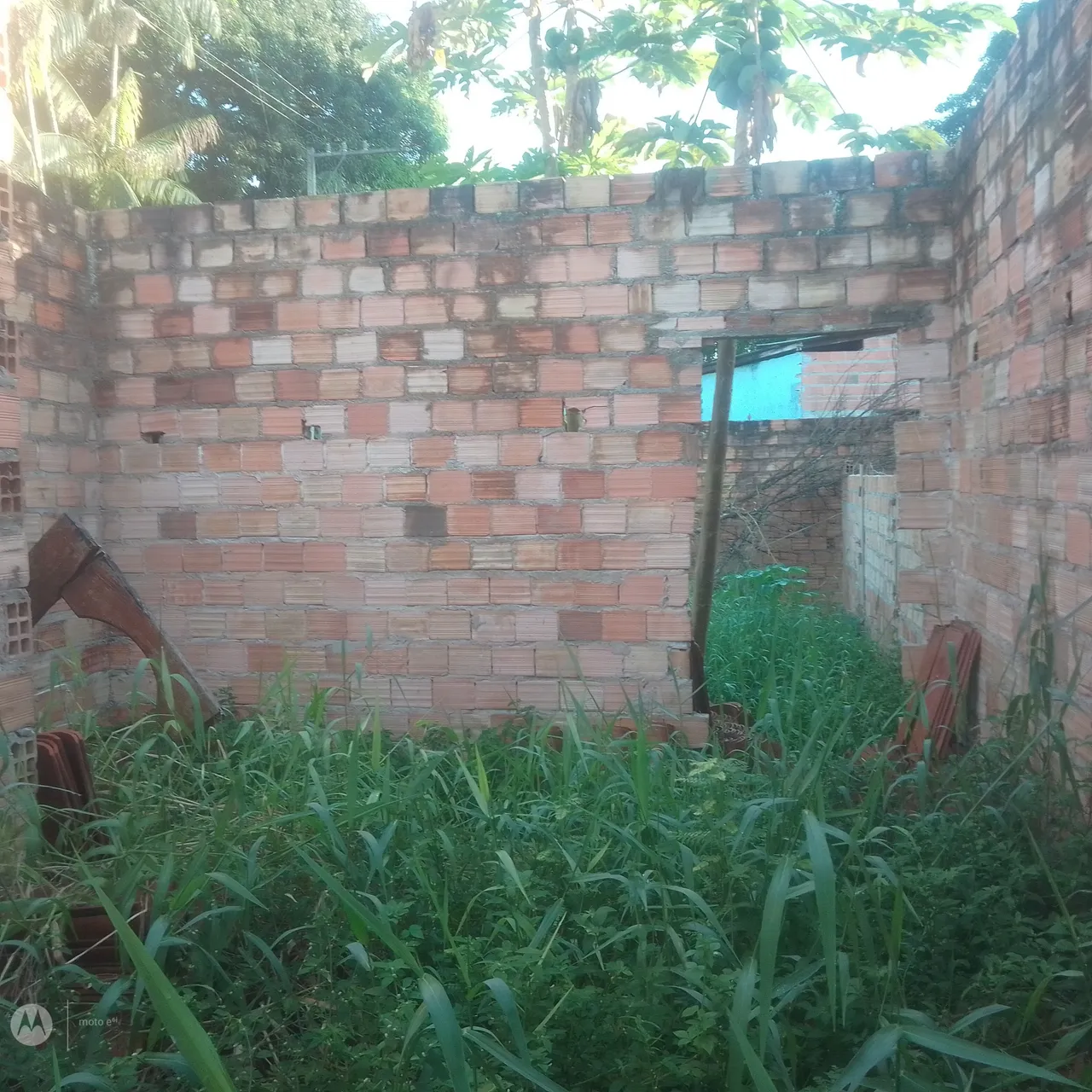 Terreno