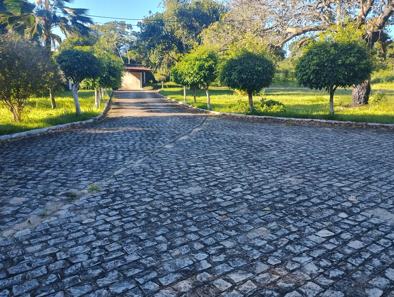 chácara acima da média: venda ou locação comercial!