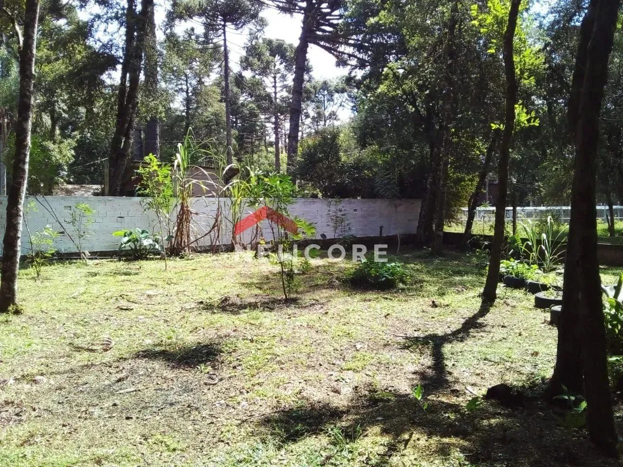 Chácara em Área Rural - Campestre da Faxina - São José dos Pinhais/PR - Foto 3