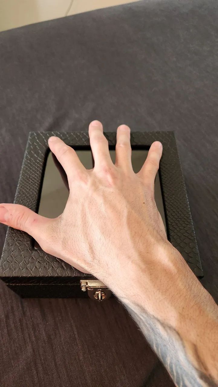 Vendo Porta Relógios - 6 Compartimentos - Foto 3