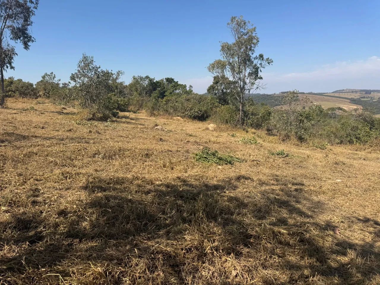 Chacaras no alto da boa Vista 