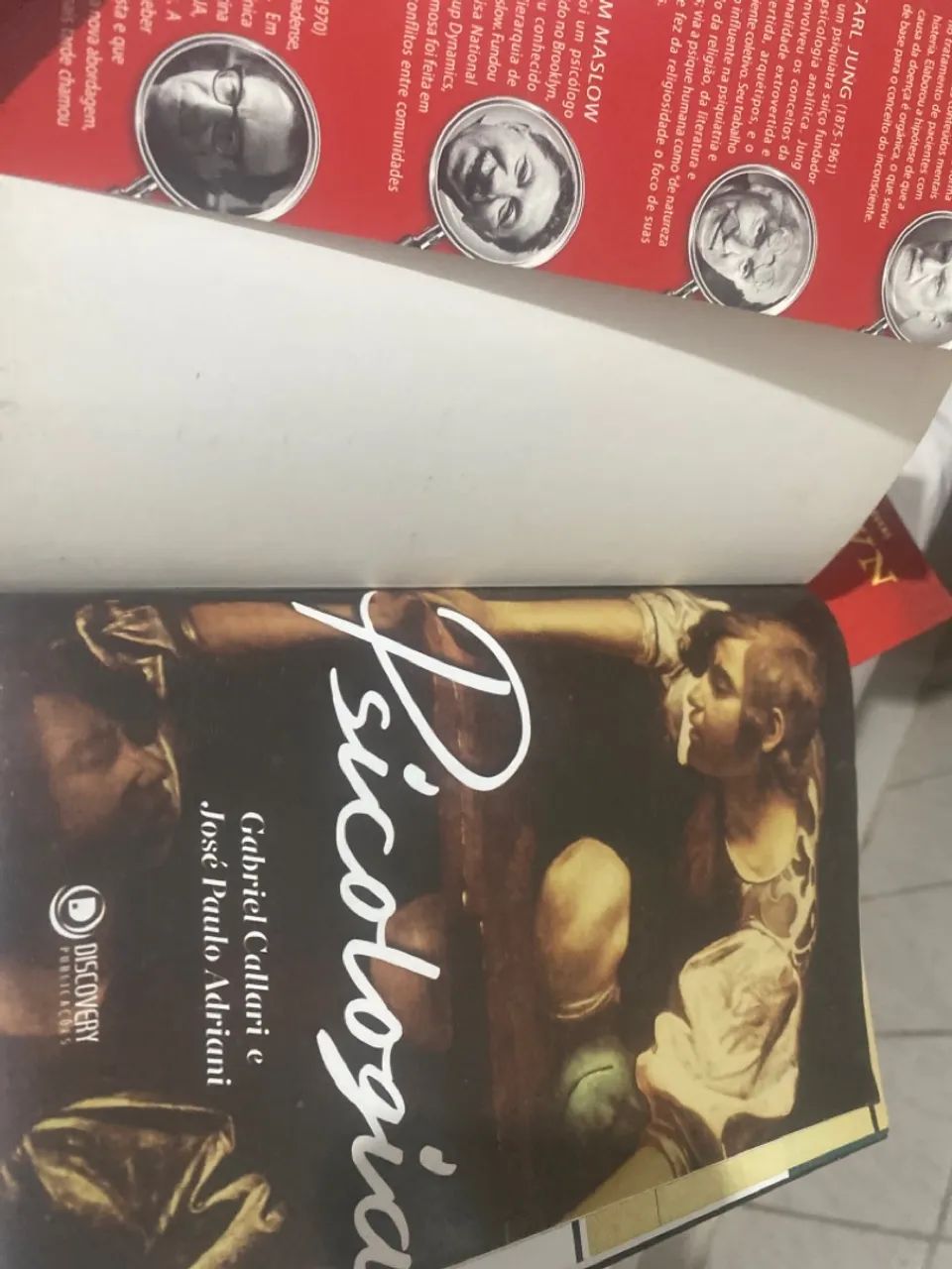 Almanaque da Psicologia - Freud, Jung, Berne e Maslow - Foto 2
