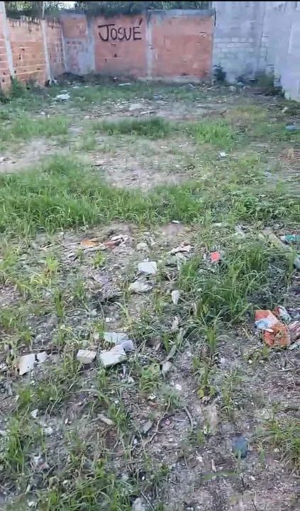 Limpeza de terreno e de jardim corto sua grama e matos . - Foto 2