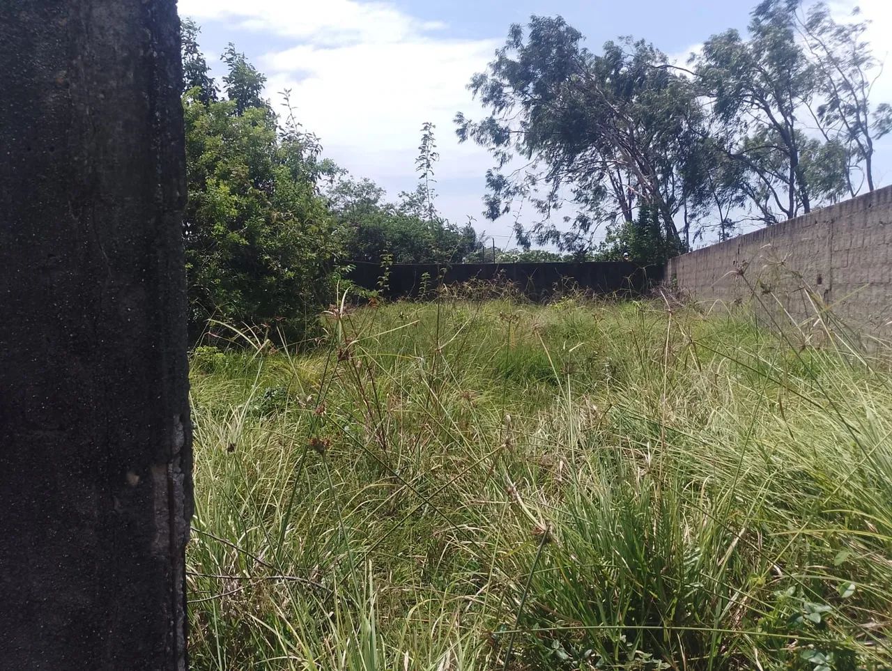 Terreno murado em Catuama (Goiâna) - Foto 3