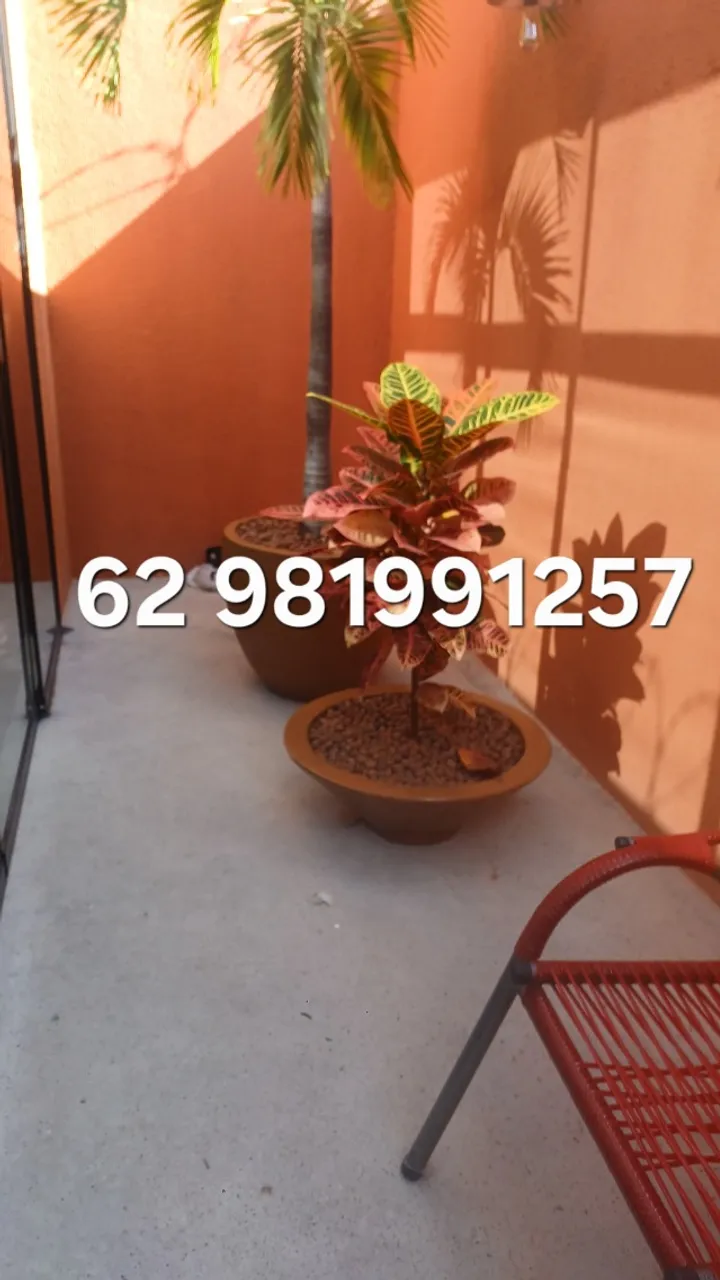 Pintor profissional disponível vistoria imobiliária aprovada 