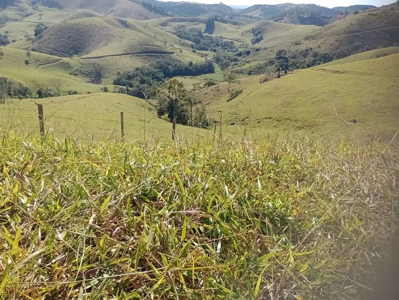 Fazenda disponível com 800 hectares. - Foto 3