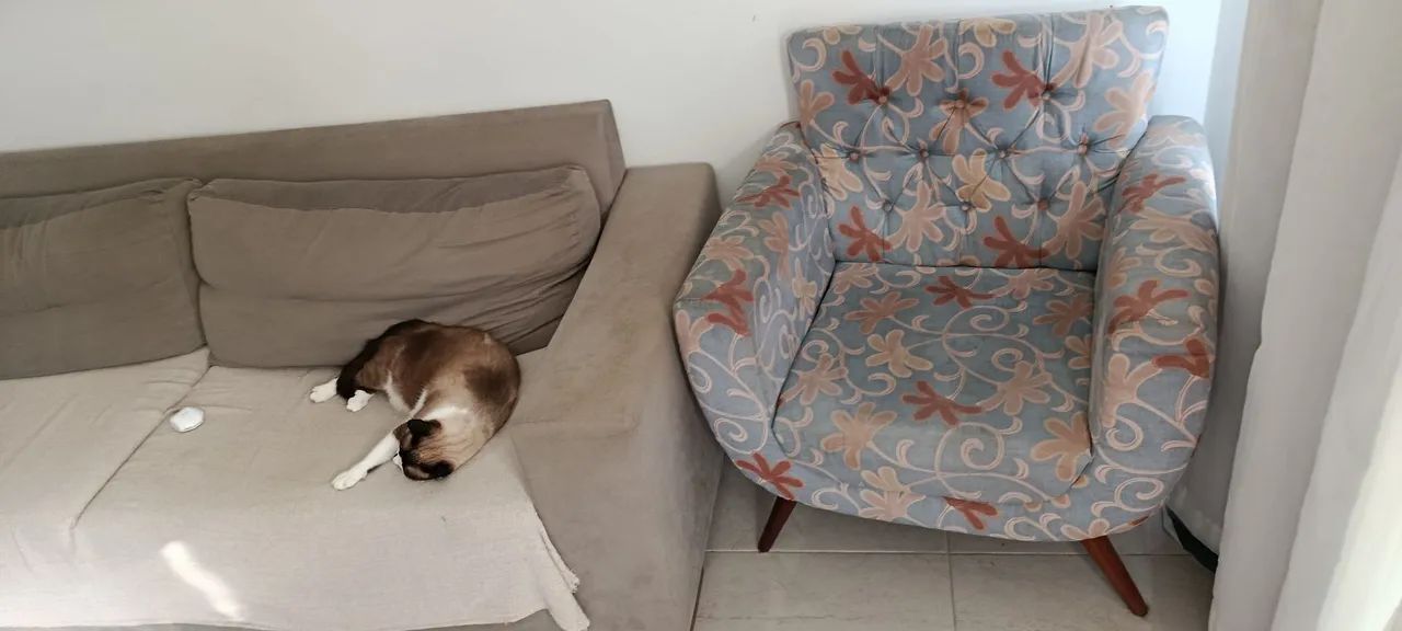 Poltrona Luxo - Foto 3