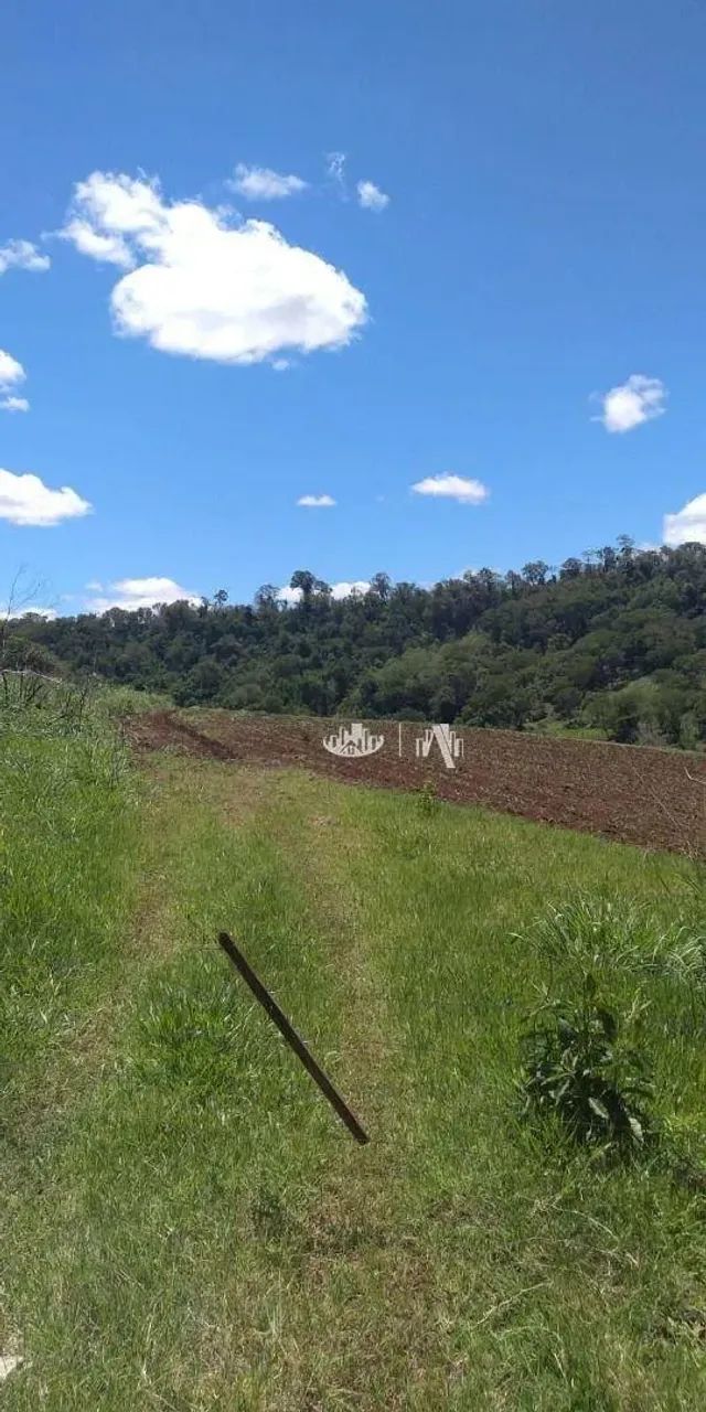 Sítio à venda, 145200 m² por R$ 1.200.000,00 - Jardim Ouro verde - Guairaçá/PR - Foto 4