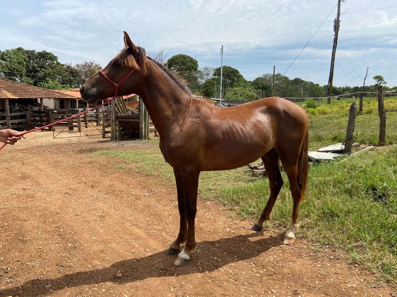 Vendo - Foto 2