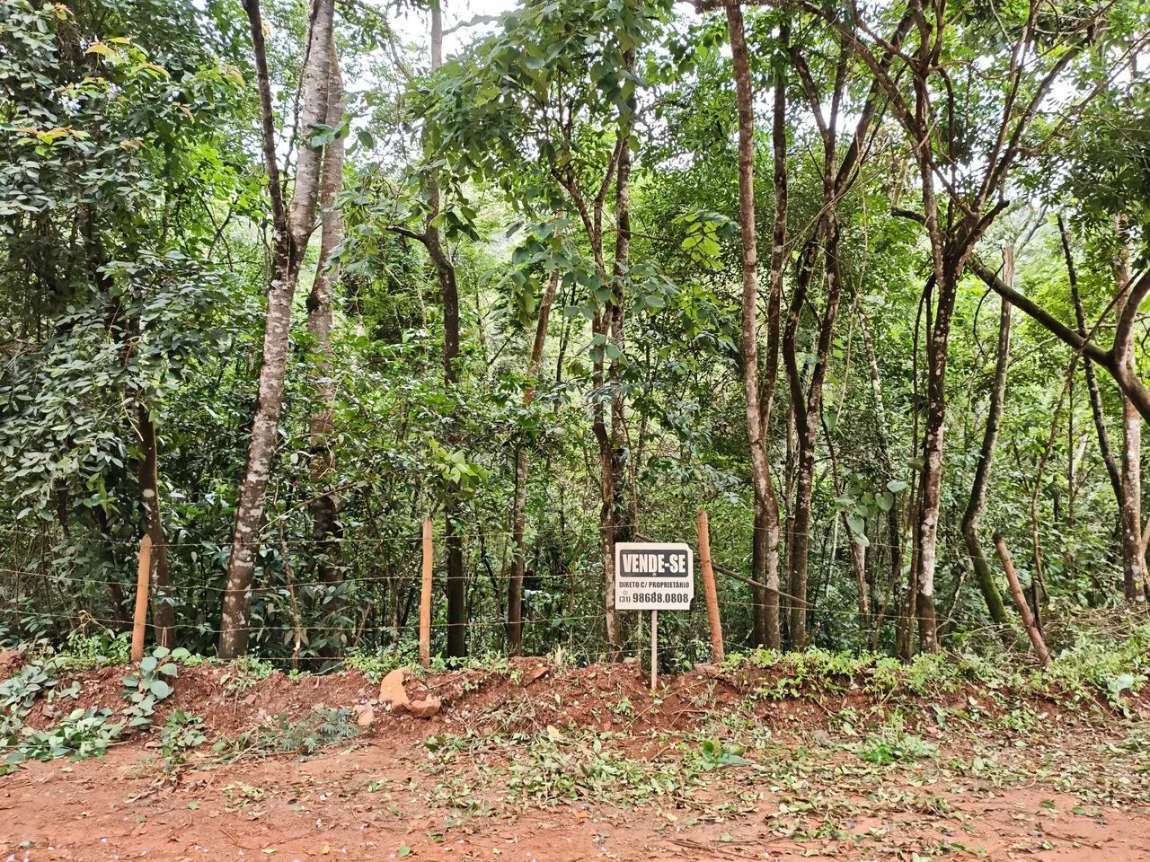 Foto - Barão de Cocais - 