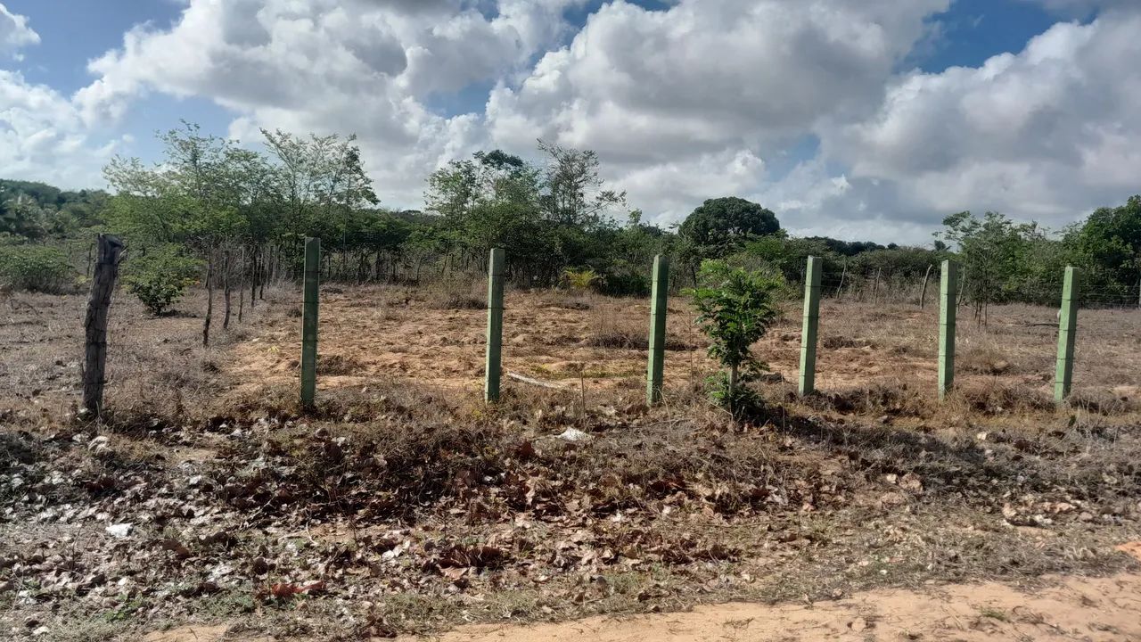 Terreno  - Foto 3