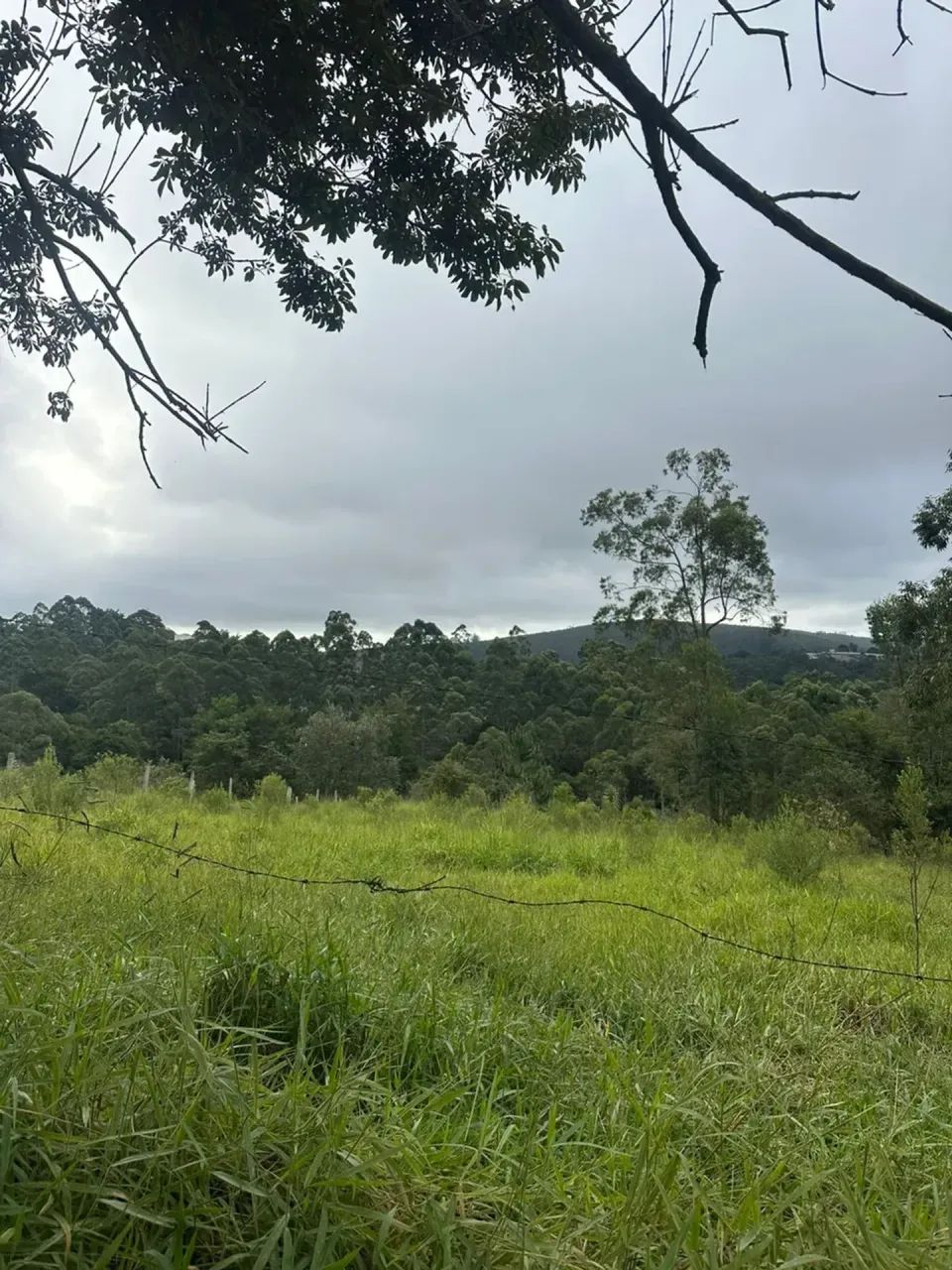 Lote 1000m² em Mairinque Fácil Acesso - Foto 3