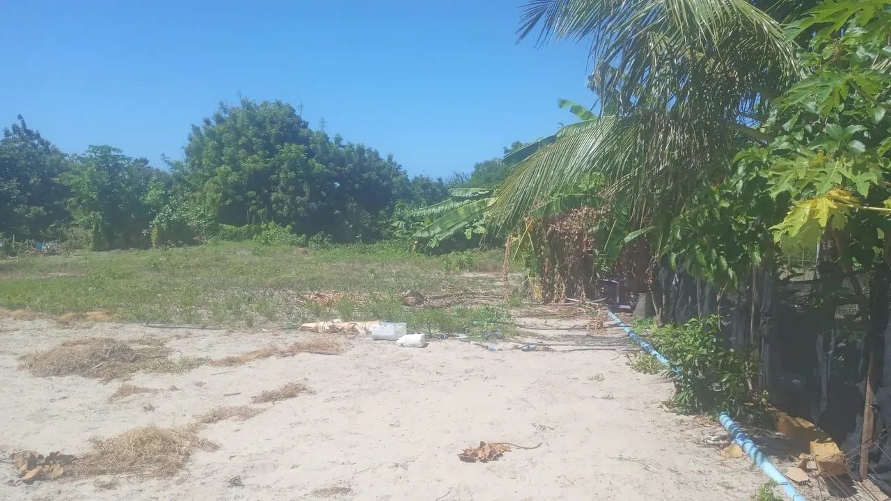 Venda ou aluguel de terreno - Foto 4