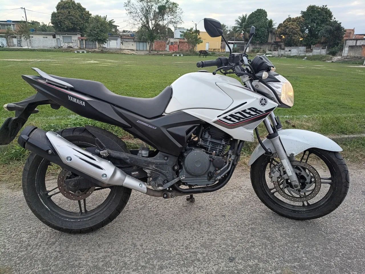 FAZER 250 ED LIMITADA 