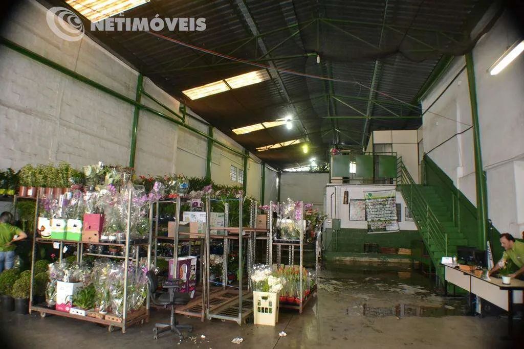 Venda Galpão Cachoeirinha Belo Horizonte - Foto 4