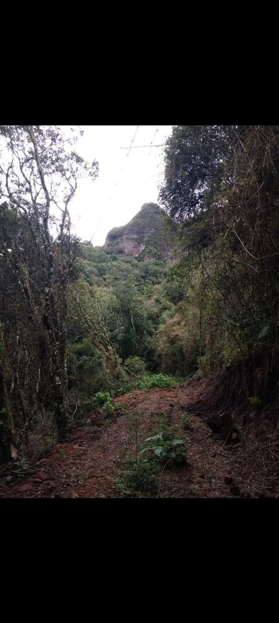 Terreno rural urubici - Foto 5