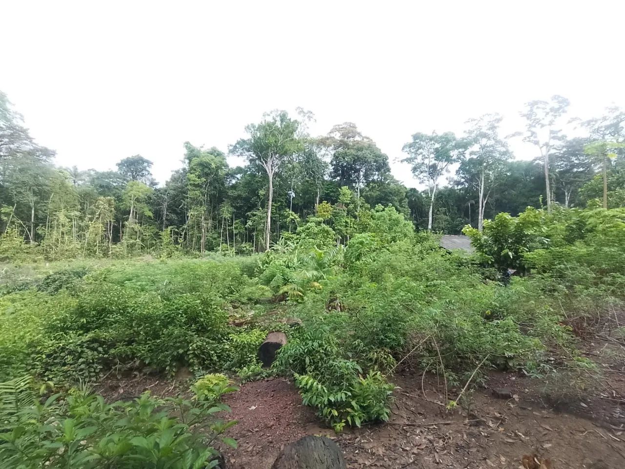 Área de fazenda no Jundia  - Foto 4