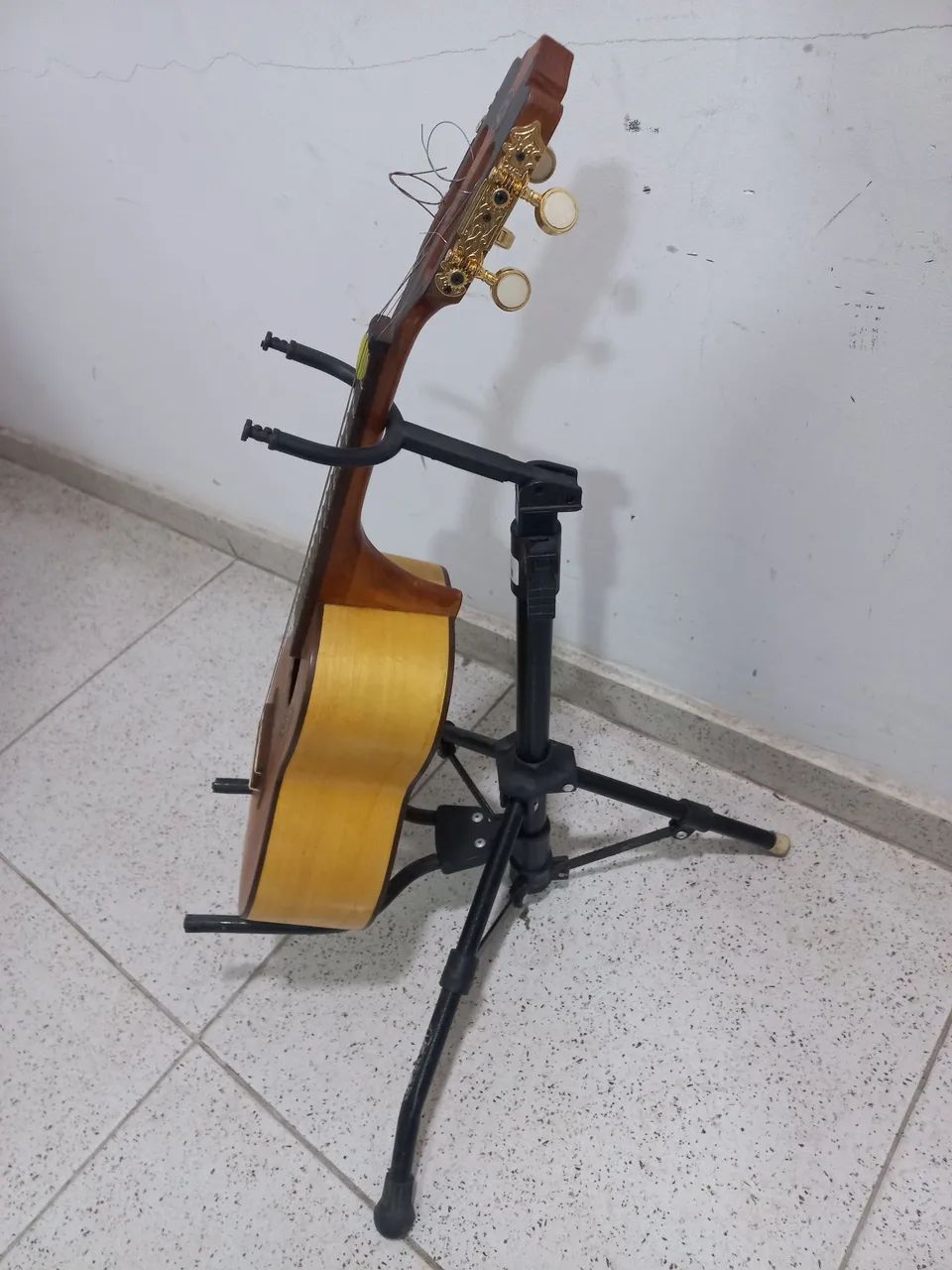 Cavavo DG Luthier Marfim com tampo em cedro 2024 - Foto 3