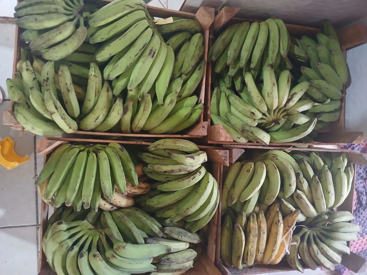 Vendo Banana ?  - Foto 4