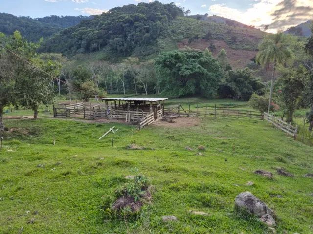fazenda 83 alqueires  - Foto 3
