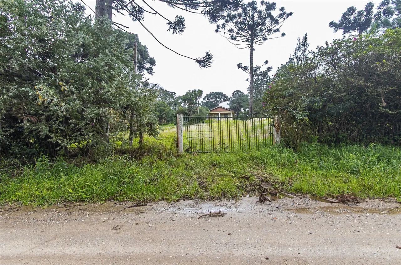 Vendas Área Piraquara PR