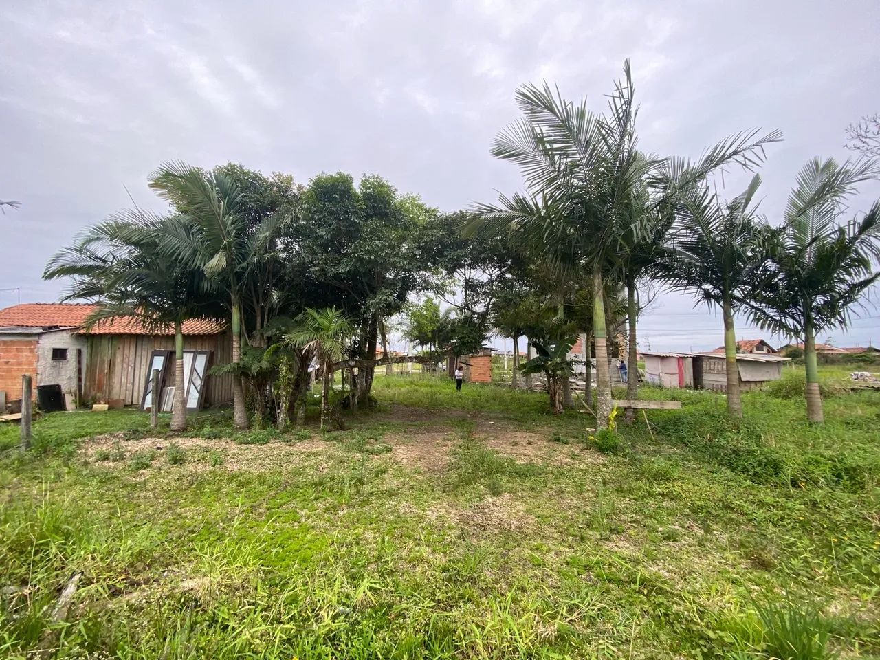 Terreno - Foto 4