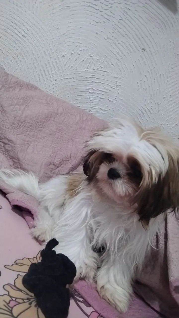 A procura de uma namorada  - Foto 6