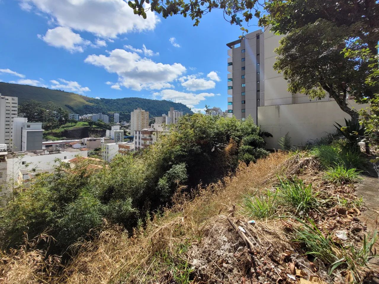 Lote / Terreno - São Mateus - Foto 4