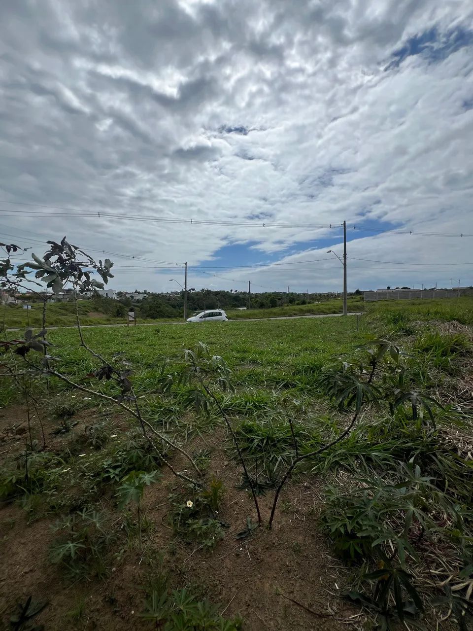 Foto - Serra - Jardim Limoeiro