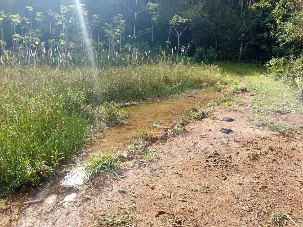 Terreno 4 alqueires  - Foto 4