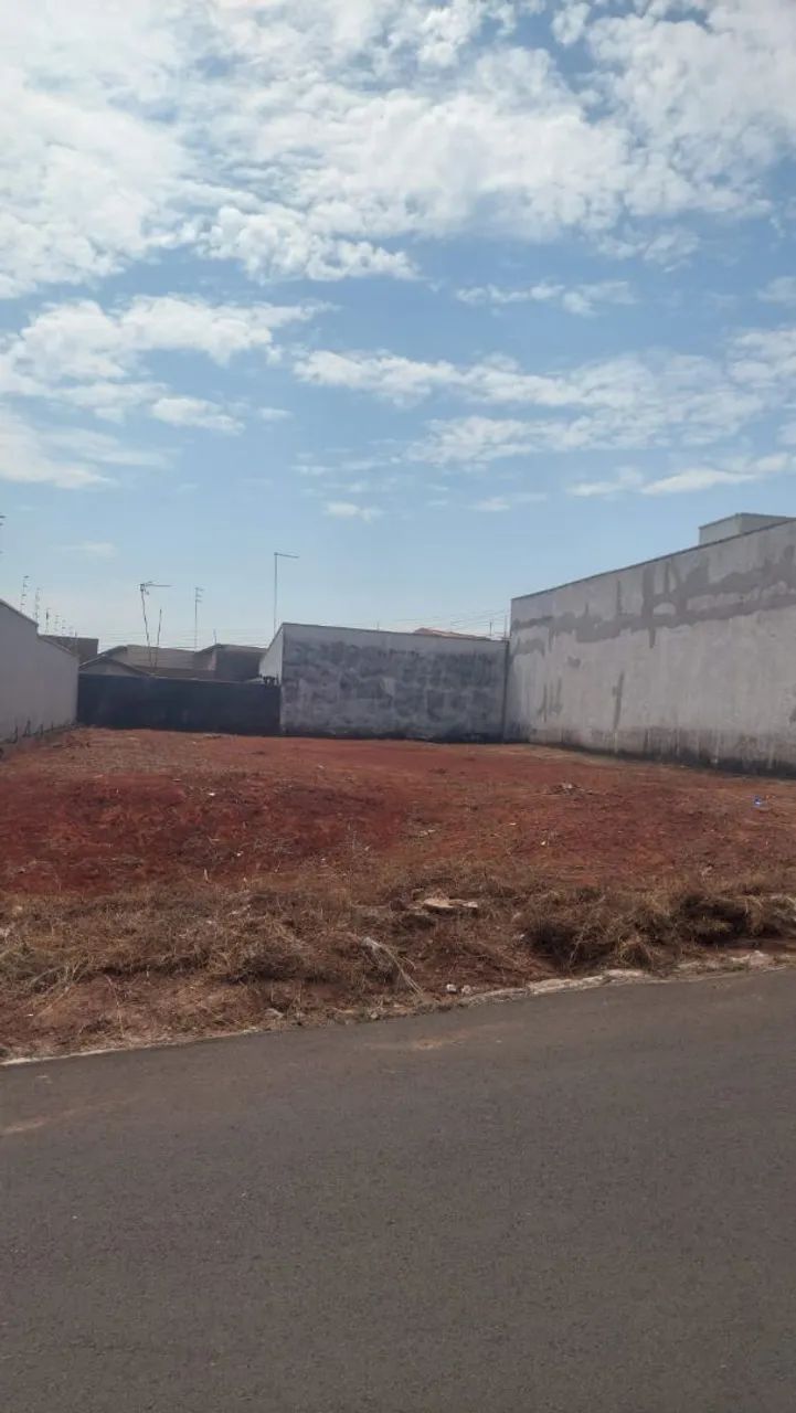 Foto - Araras - Jardim Dalla Costa