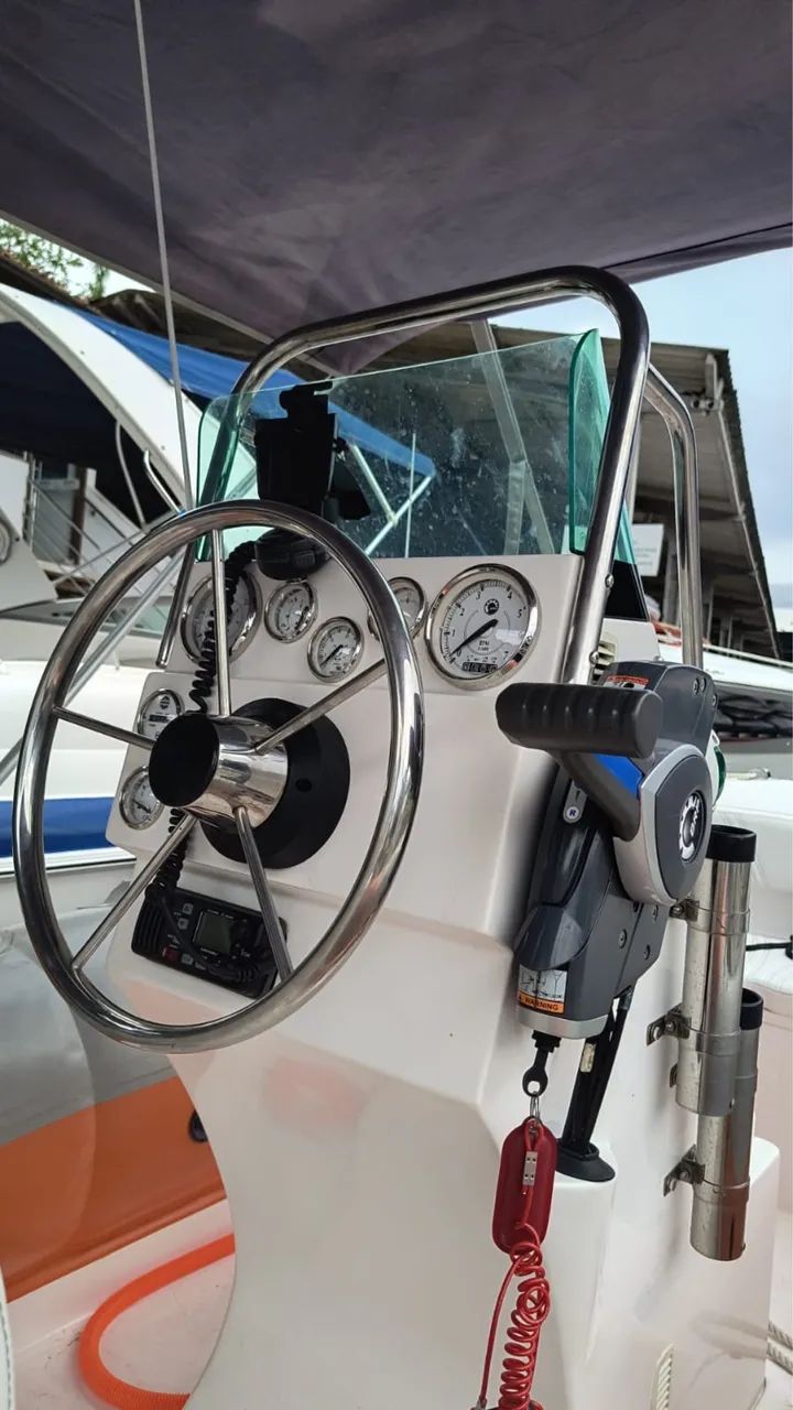 Motor 60hp Evinrude E-TEC >> 127h - Foto 5