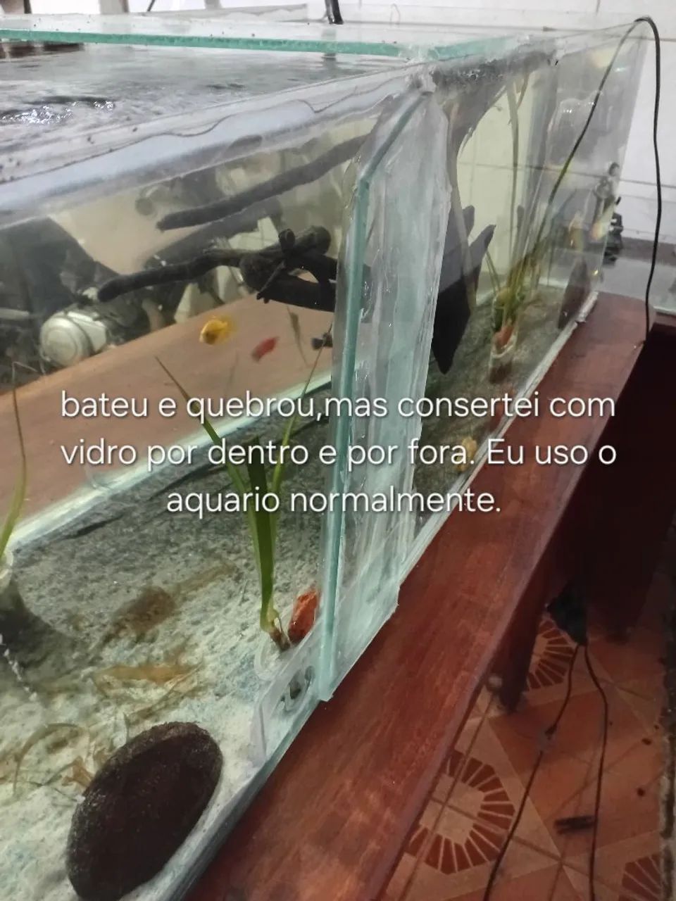 Aquário  - Foto 4