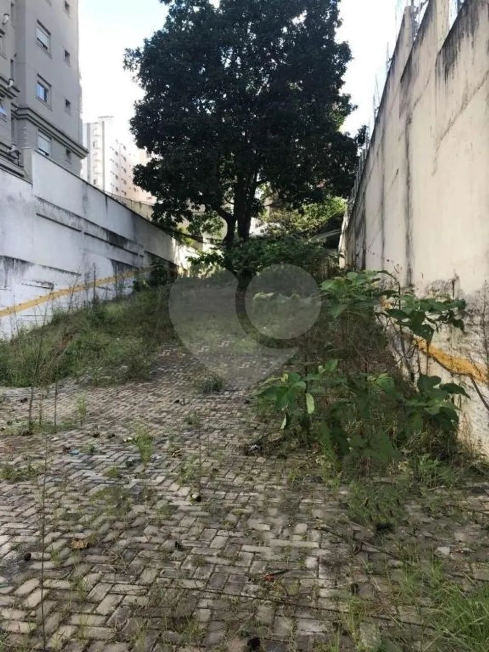 Terreno à venda em Vila uberabinha - SP - Foto 2