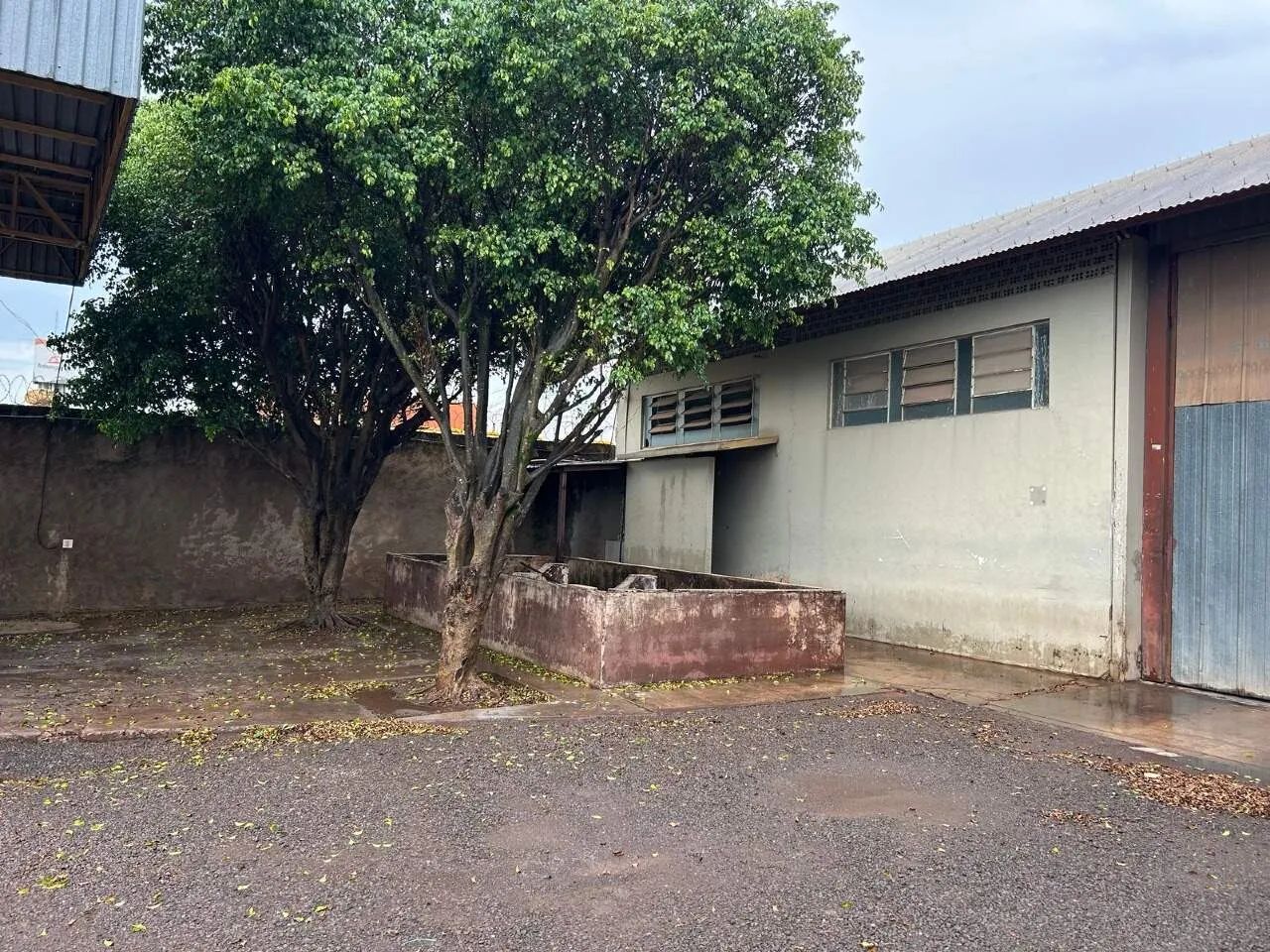 Galpão / Depósito / Armazém em Vila Progresso - Foto 3