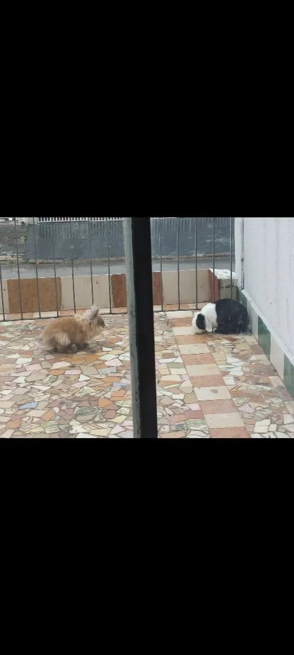 Doação 