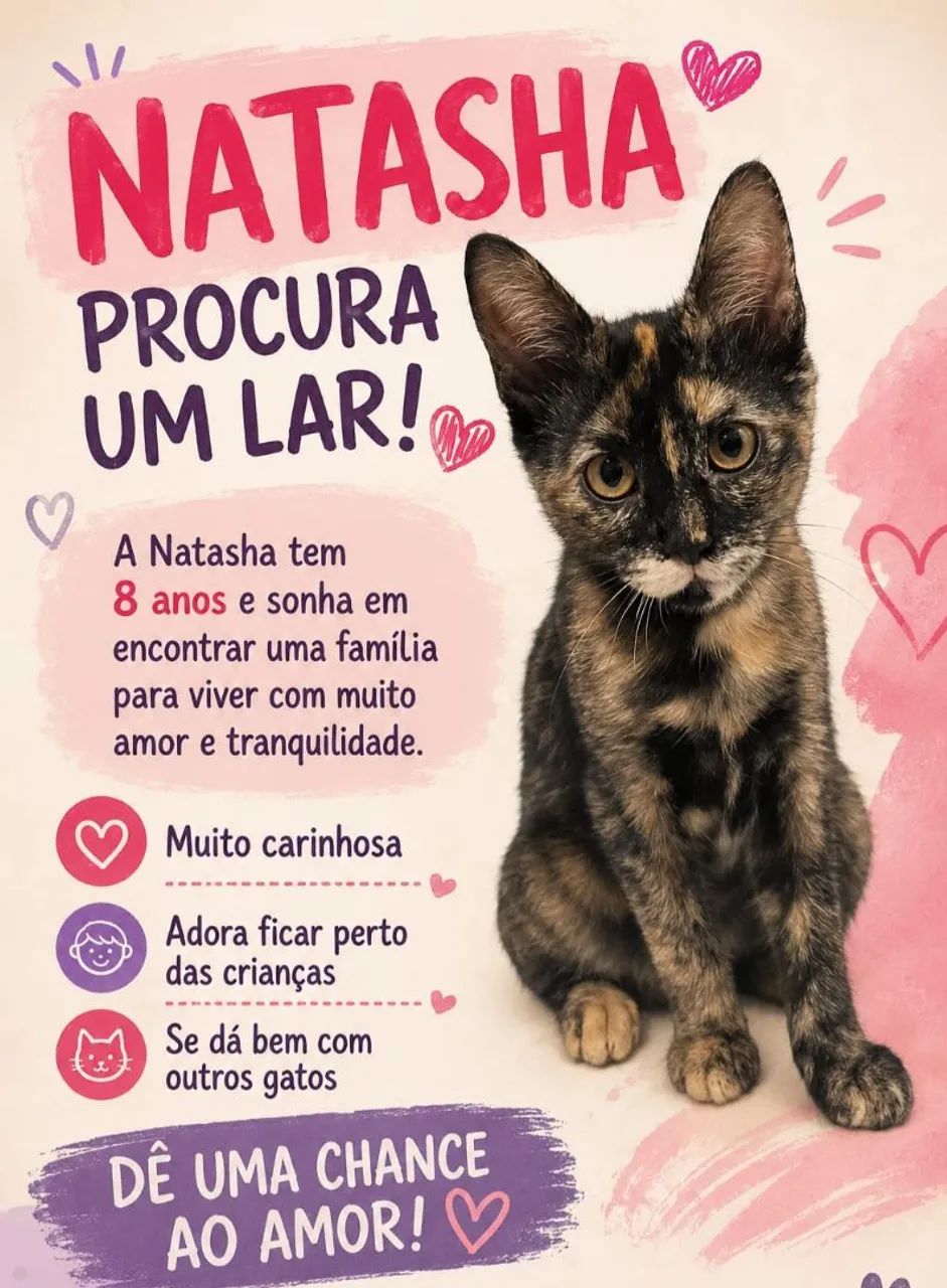 Doa-se gatinhos lindos ?