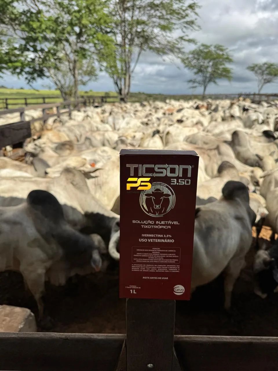 Fazenda 190m² na margem da BR-304 em Macaíba à Venda REF: PS1036