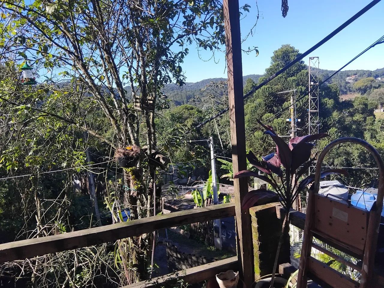 Vendo meu sítio em mairiporã  - Foto 4