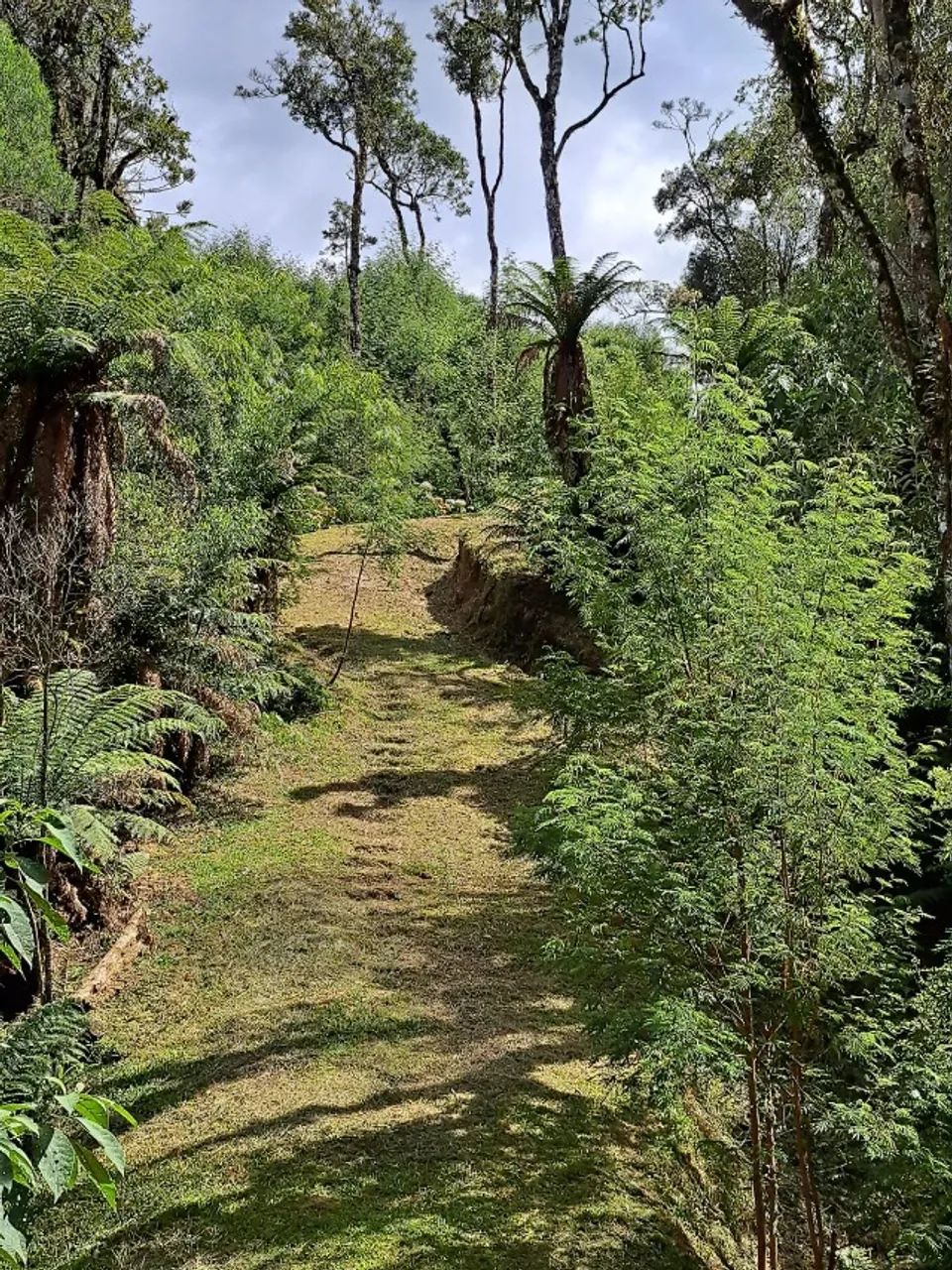 Sitio em Urubici SC 2 Hectares  - Foto 3