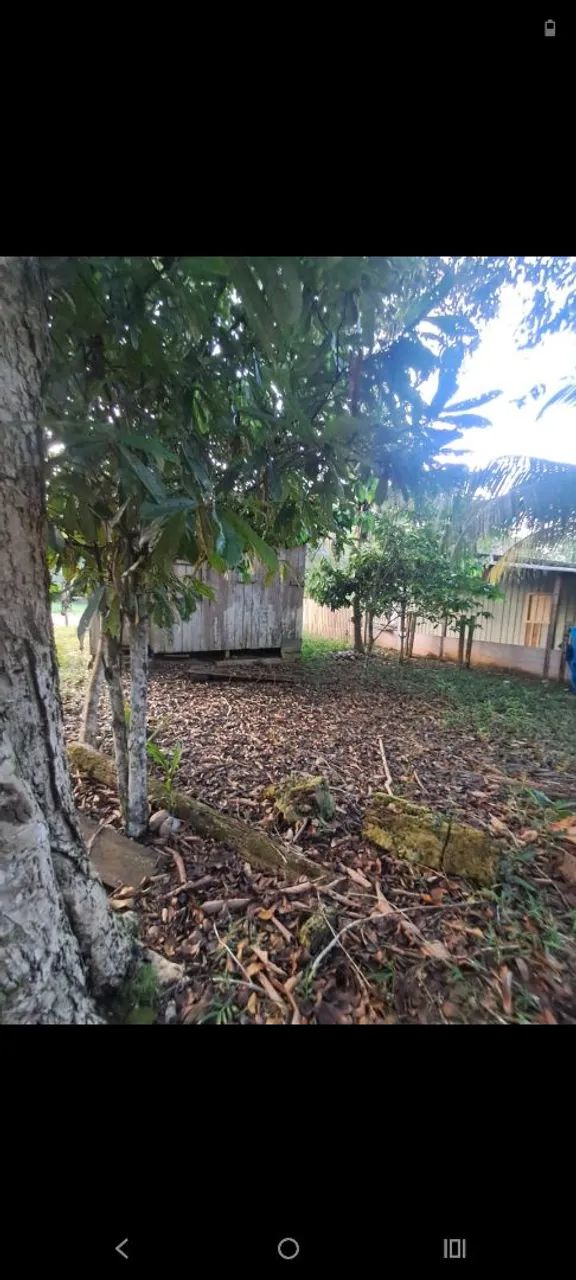 Foto - Manaus - Jorge Teixeira