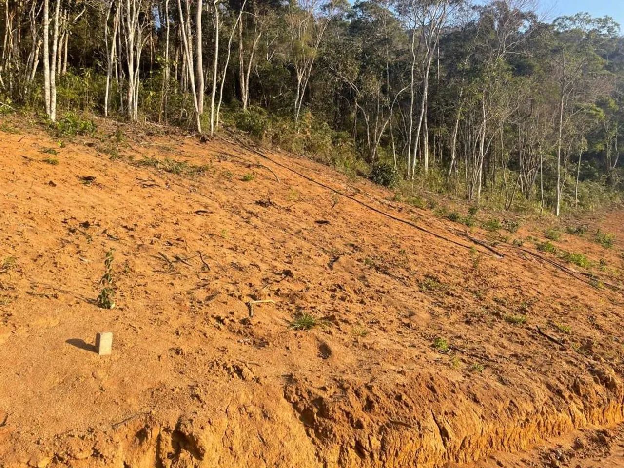 Terreno para Venda em Teresópolis, Green Valleiy