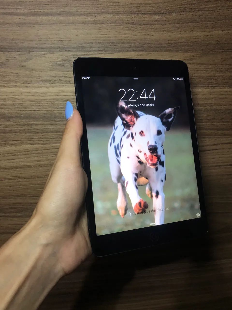 iPad mini 1