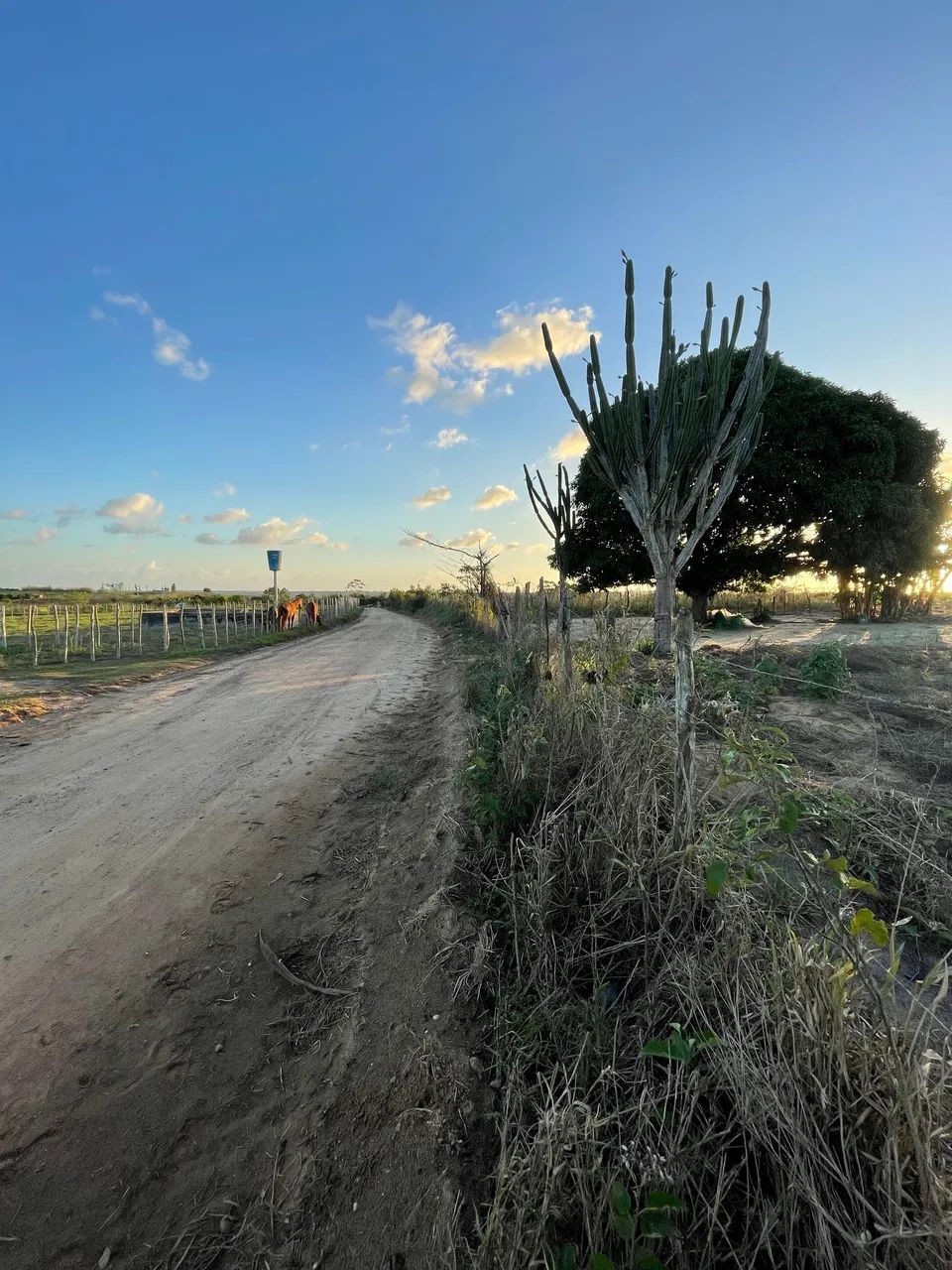 TERRENO NO POVOADO TOMBO/ SALGADO 17 TAREFAS  - Foto 4