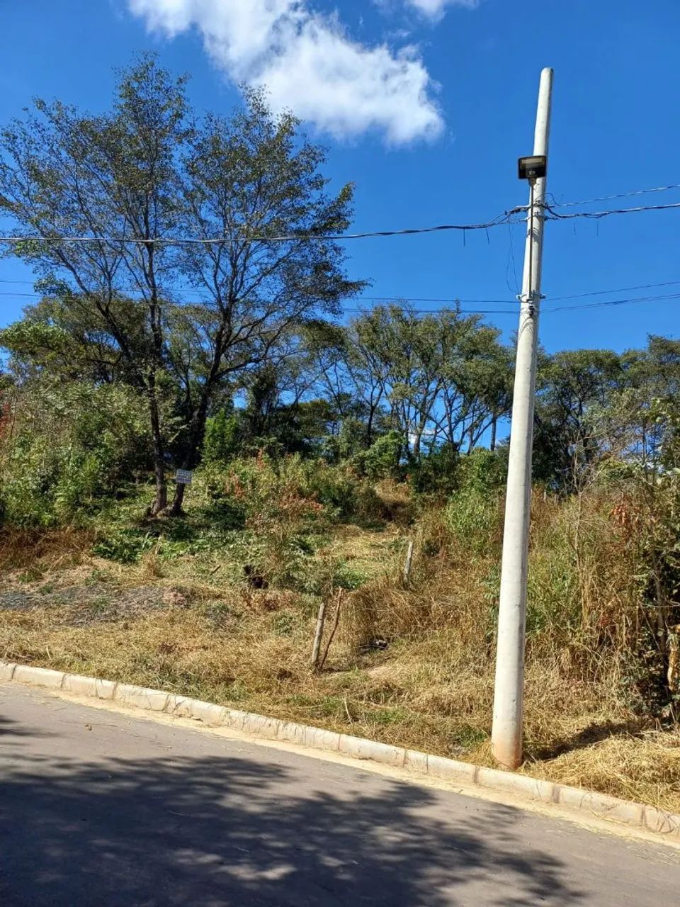 Vende-se lote barato em igarapé  - Foto 2