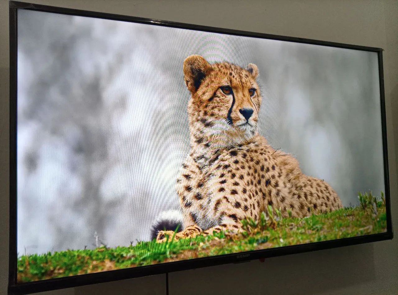 VENDO TV 43 POLEGADAS SMART  - Foto 3