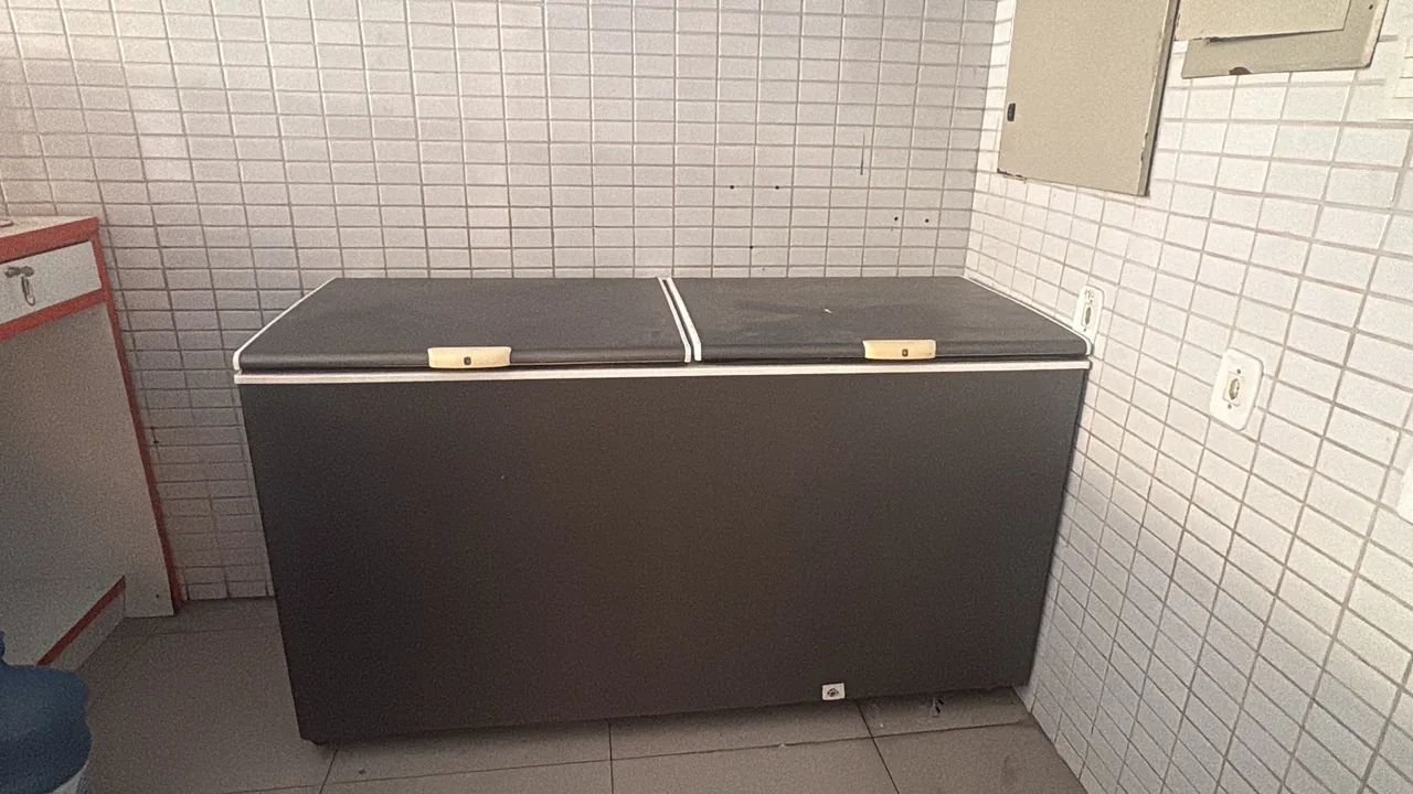 Frezer Hotizontal 2 portas 