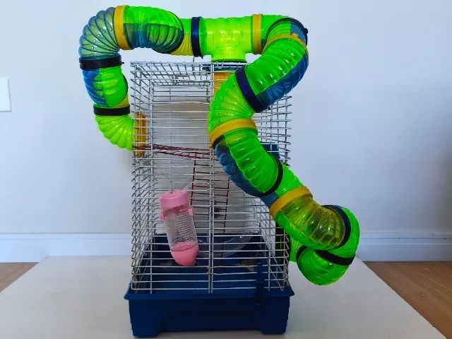 Gaiola para Hamster Quatiguá  - Foto 3